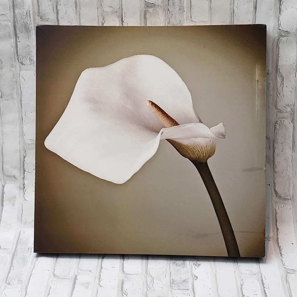 Floral Artwork Flower Painting Picture: Calla-Lily Print on Canvas Wall Art